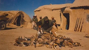 من هو المسؤول القطري الذي تعرض لهجوم في باكستان؟